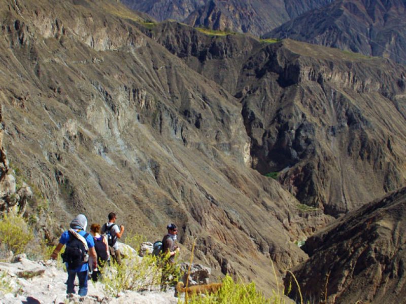 Full Day – Colca Cayon tour