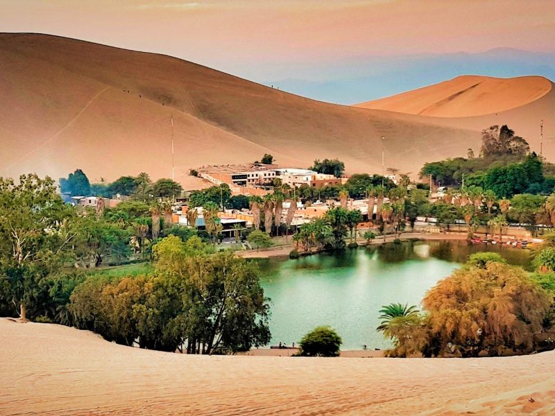 Ica City Tour + Huacachina + Catador Winery