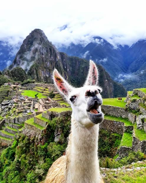 DAY 5: AGUAS CALIENTES - MACHU PICCHU- CUSCO