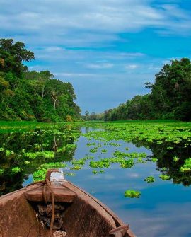 Iquitos