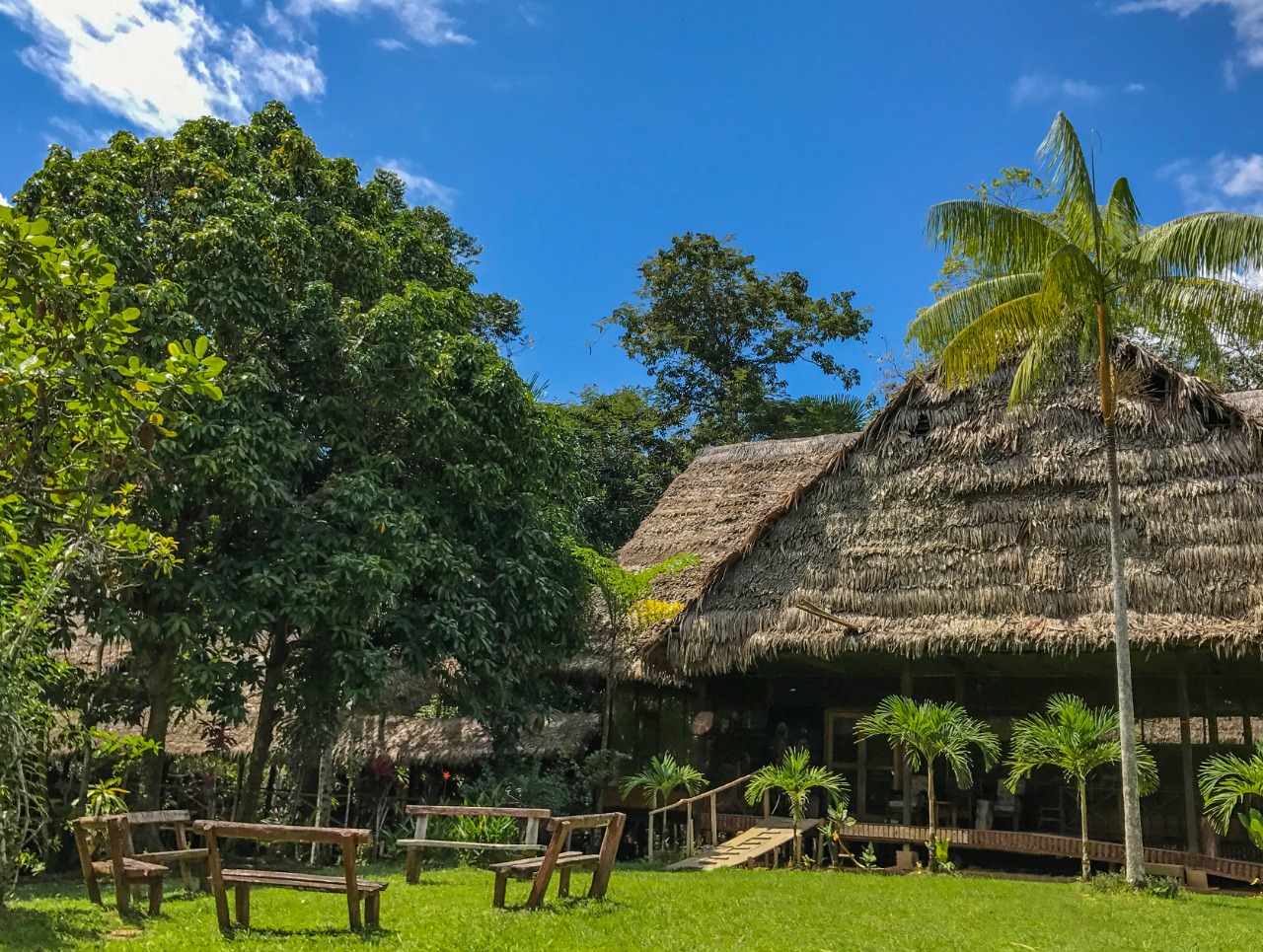 DAY 3: AMAZON LODGE - IQUITOS- LIMA (Breakfast lunch)