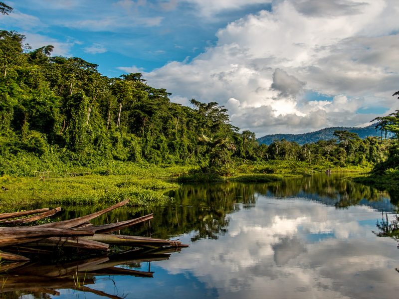 Reserva Tambopata Lago Sandoval 5D/4N