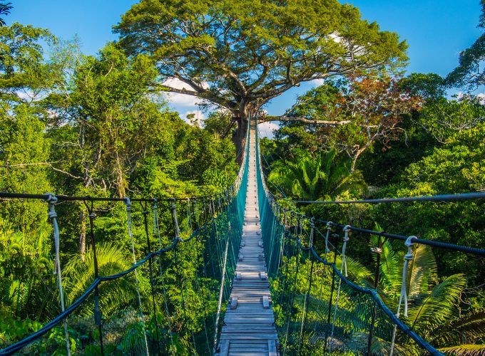 Reserva Tambopata Lago Sandoval 4D/3N